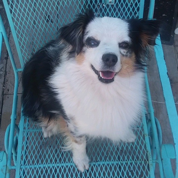 Meet your Posher, Sabrina - Picture 1 of 1